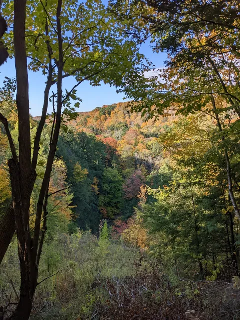 Chautauqua Gorge State Forest