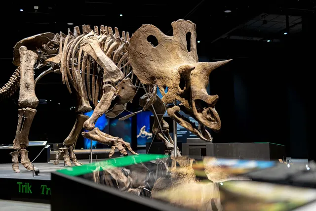 Dinosauria Museum Prague