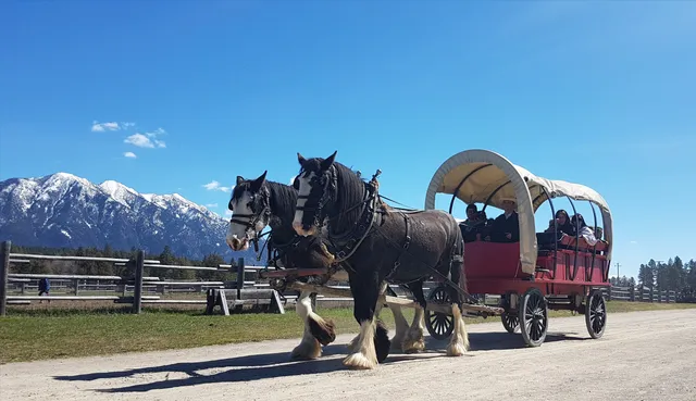 Area C (Moyie/Bull River)