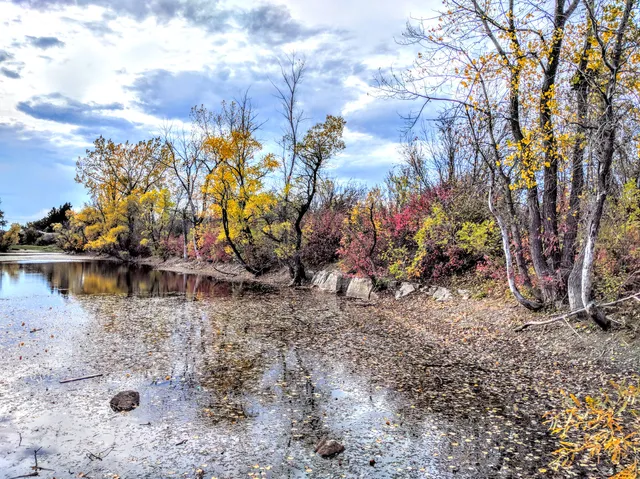 Little Mountain Park