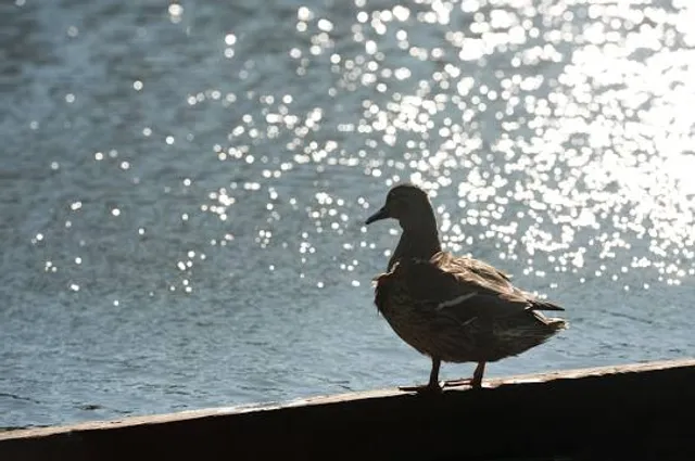 Marysville Twin Lakes