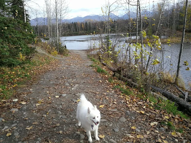 University Lake Park