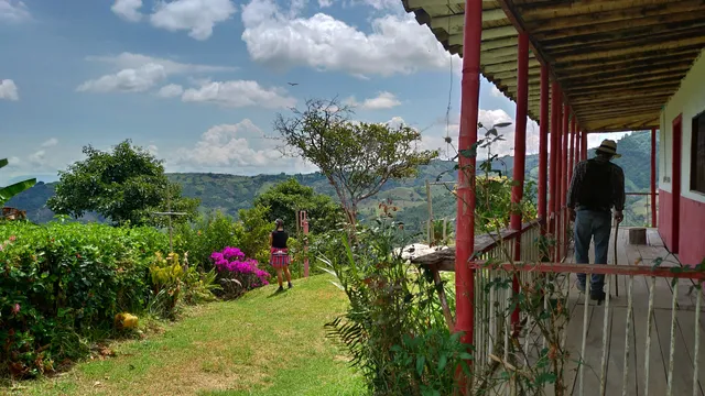 Café Tío Conejo. Finca