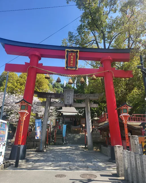 photo-1