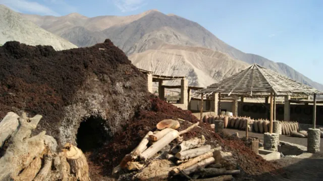 Bodega Reina de Lunahuaná