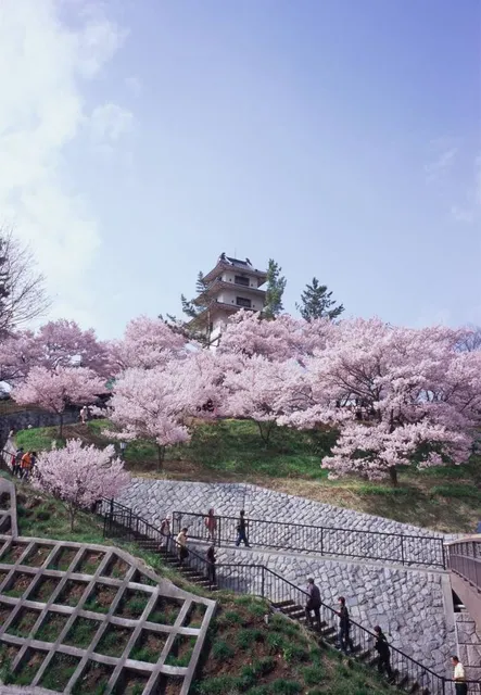 Takatōjō Castle Ruins