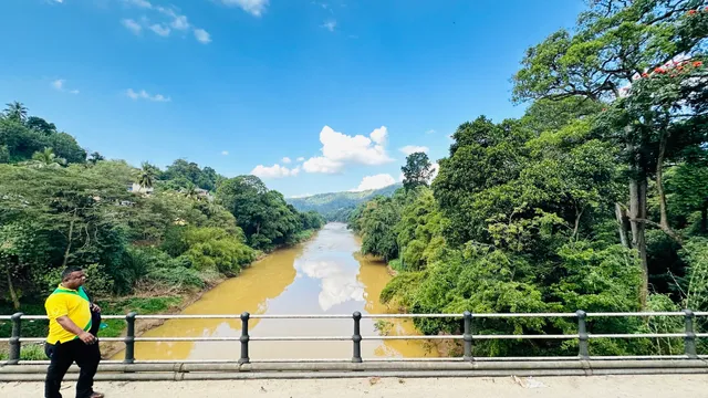 Peradeniya Bridge