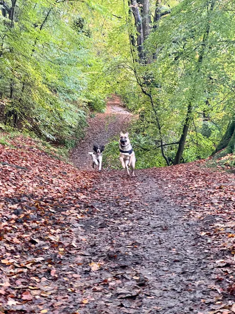 Redburn Country Park