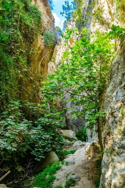 Naixement del Riu Palància