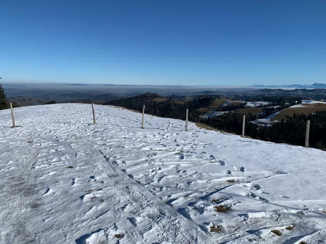 photo-2