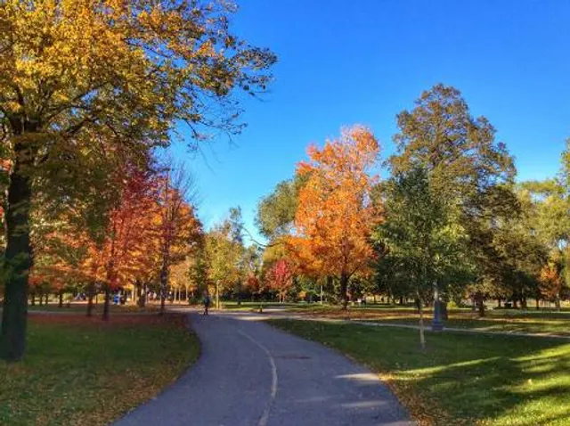 Trinity Bellwoods Park