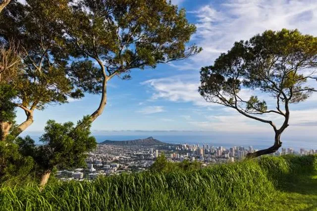 Tantalus Lookout - Puu Ualakaa State Park