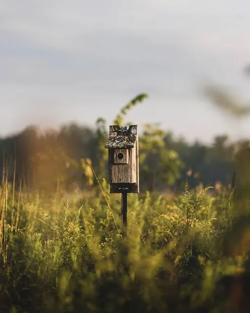 Swine Creek Reservation
