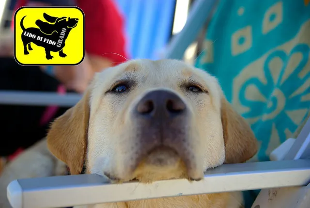 Spiaggia Lido di Fido