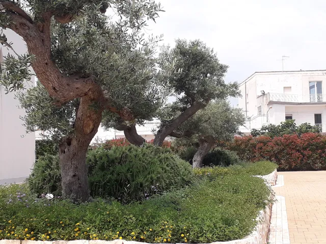 Monastero delle Monache Carmelitane