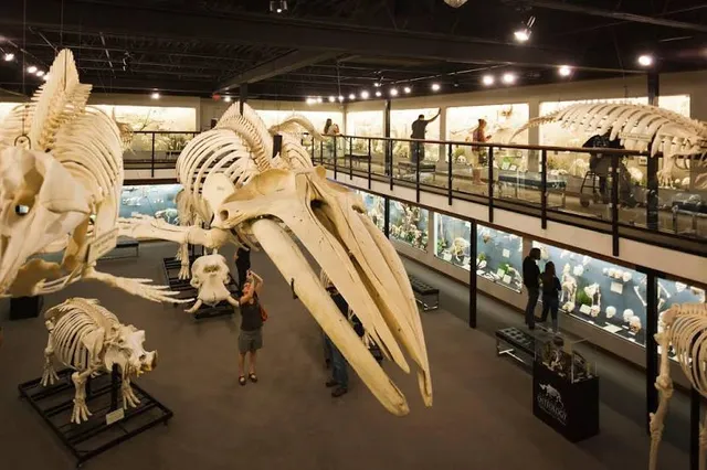 Museum of Osteology