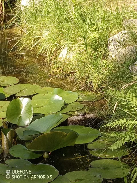 Biosphere Prieros, Brandenburg, Germany.