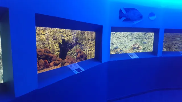 Ocean Aquarium