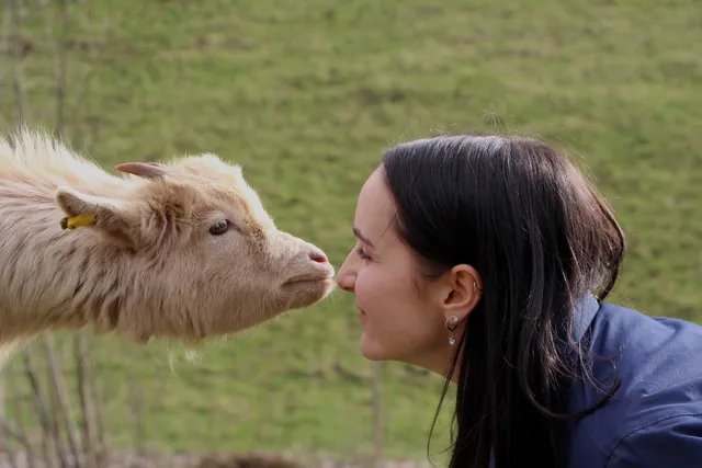 Farm holidays in the Black Forest