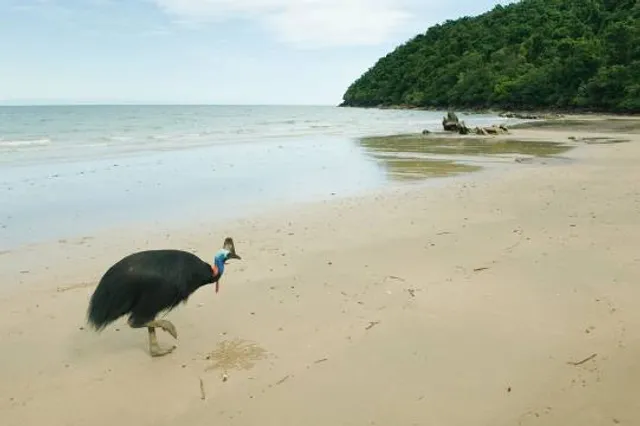 Moresby Range National Park