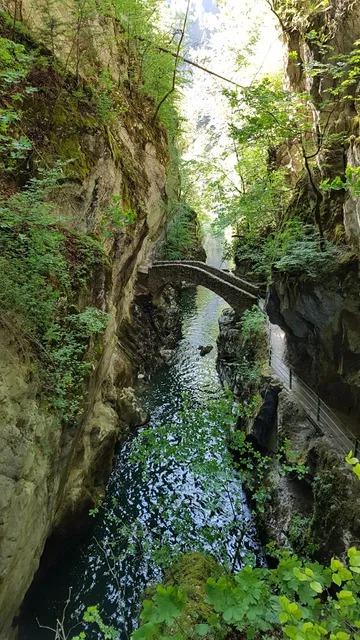 Association de la Maison de la Nature Neuchâteloise