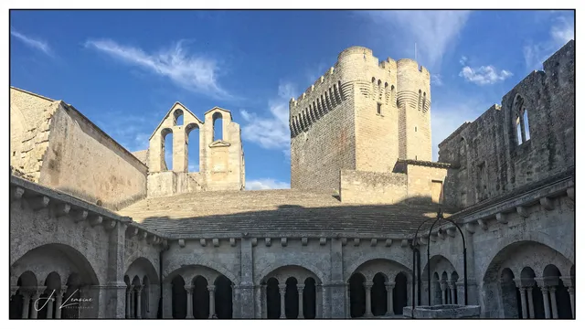 Abbaye de Montmajour
