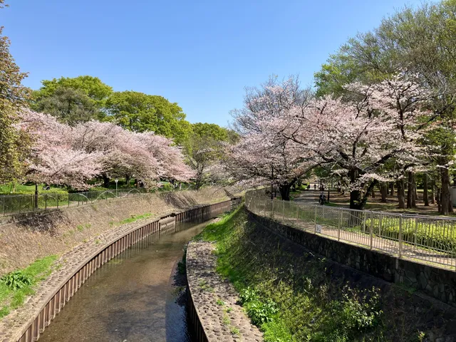 Zenpuku-ji River Green Space