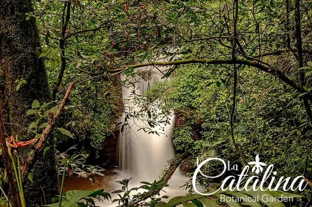 Jardín Botánico La Catalina