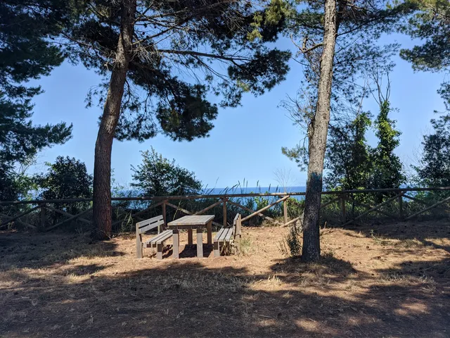 Pineta di San Donato