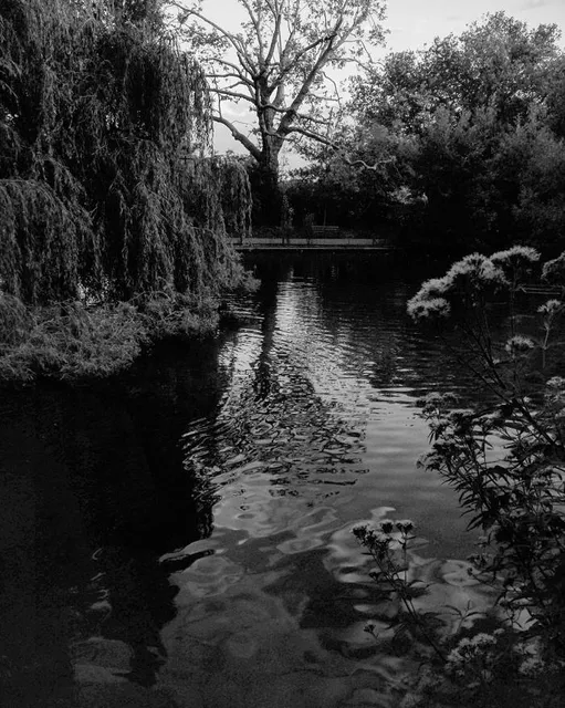 Peckham Rye Park & Common