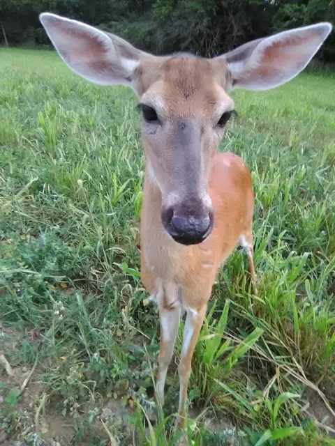 Caesar Creek Park Office