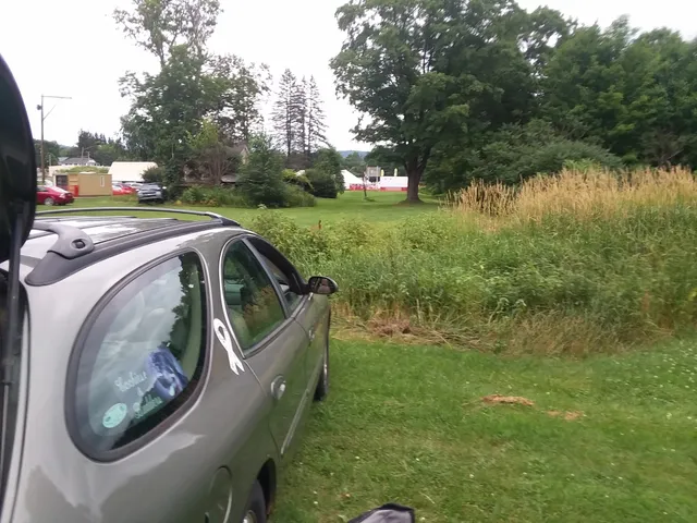 Fireman's Field Park