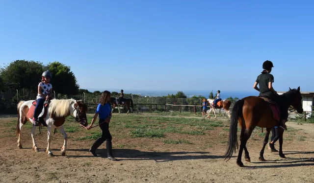 Olympus Horse Riding Club