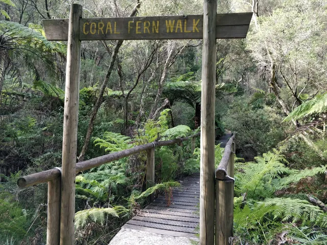 Edward Hunter Heritage Bush Reserve