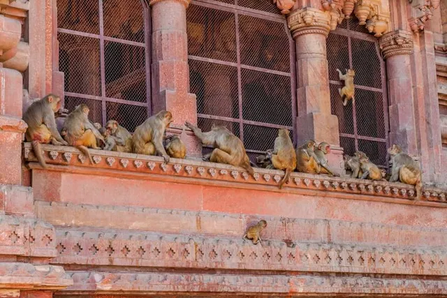 THIKANA MANDIR SHRI GOVIND DEV JI