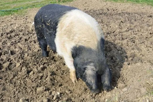 Umami-kyuryo Park Central Area