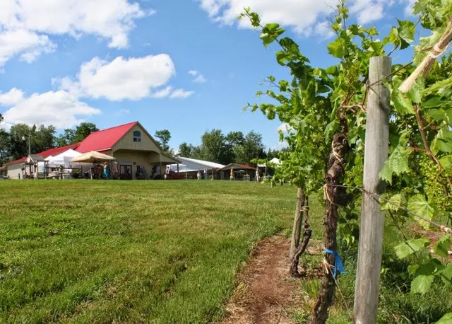 The Winery at Hunters Valley