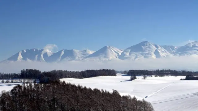 Mount Hakodate