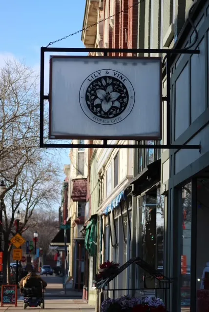 Lily & Vine Floral and Gifts