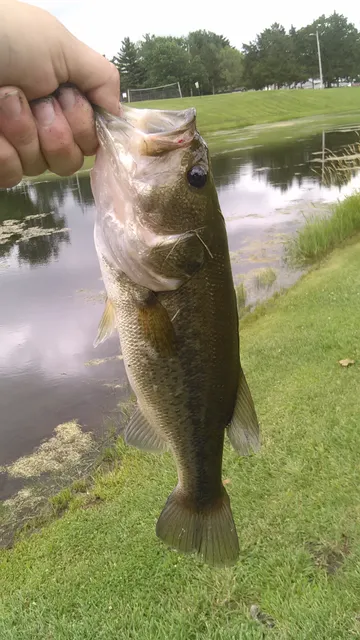 Princeton Park District