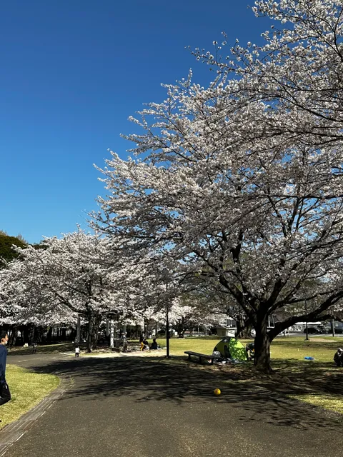 Kannawajigokuchitai Park