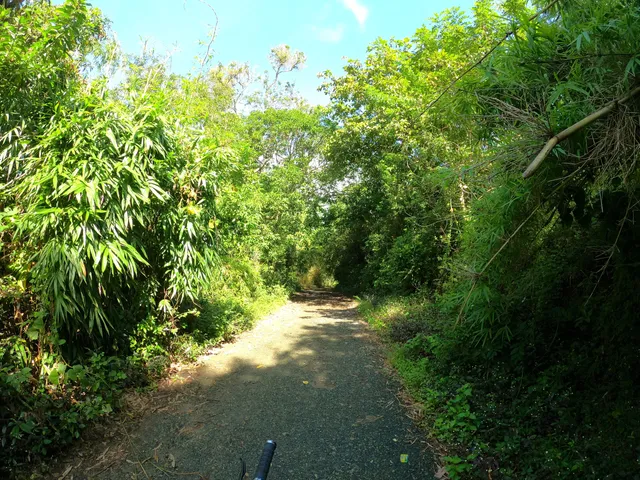 Angono Forest Park