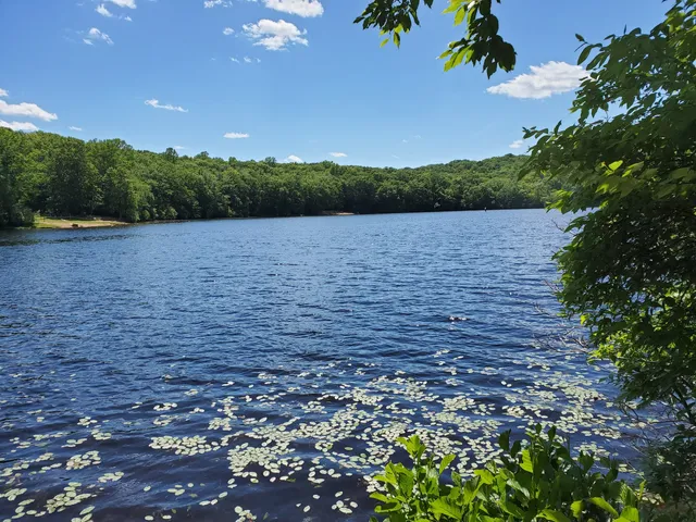 Cockaponset State Forest