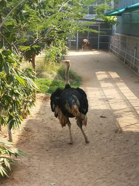 photo-1