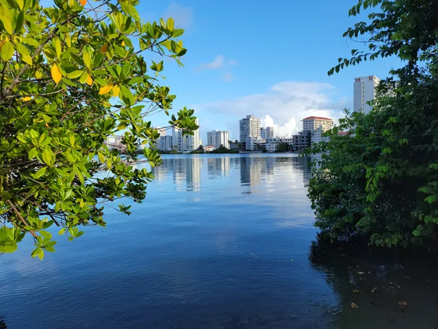 Laguna del Condado Profesor Jaime Benítez Rexach National Park