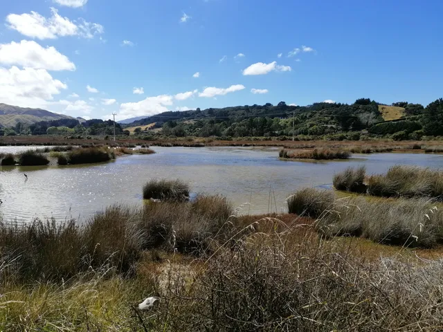 Pauatahanui Wildlife Reserve