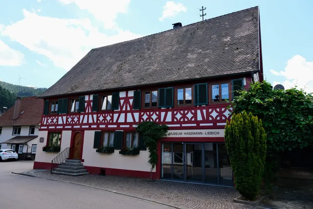 Kunstverein Hasemann-Liebich Gutach e.V.