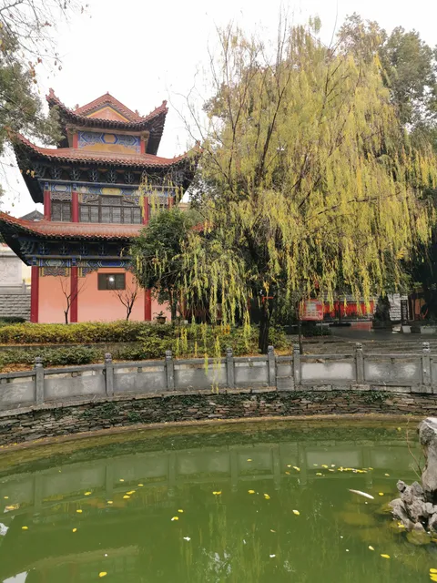 photo-1