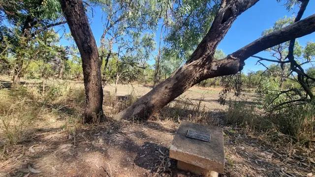 Burke & Wills Camp 119