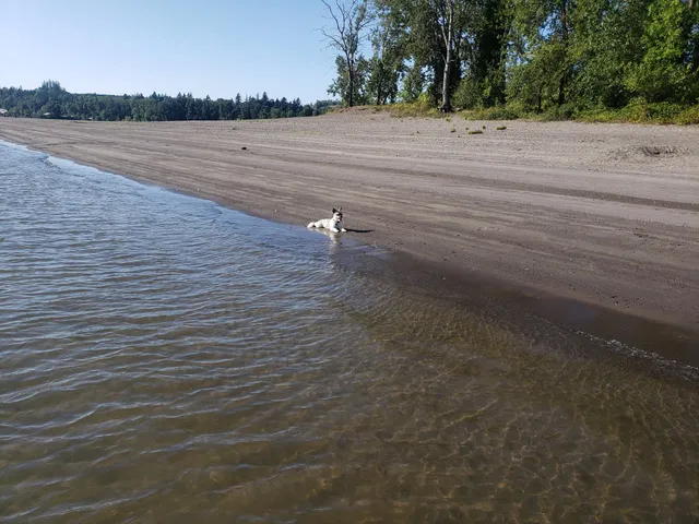 Government Island State Recreation Area